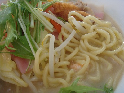 太めの麺